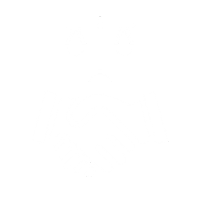 Legal Support Services